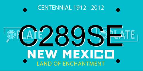 C289SE New Mexico License Plate