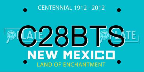 C28BTS New Mexico License Plate