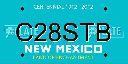 C28STB New Mexico License Plate