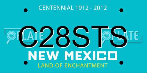 C28STS New Mexico License Plate