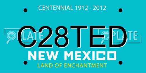 C28TED New Mexico License Plate