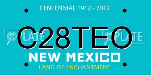 C28TEO New Mexico License Plate