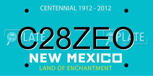 C28ZEO New Mexico License Plate