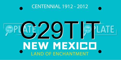 C29TIT New Mexico License Plate