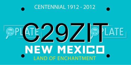 C29ZIT New Mexico License Plate