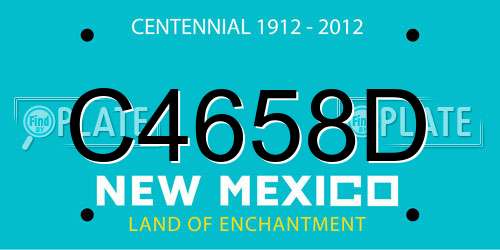 C4658D New Mexico License Plate