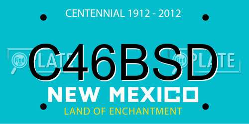 C46BSD New Mexico License Plate