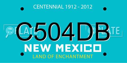 C504DB New Mexico License Plate