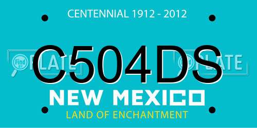 C504DS New Mexico License Plate