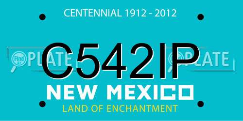 C542IP New Mexico License Plate