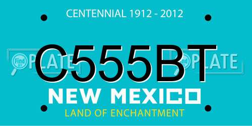 C555BT New Mexico License Plate