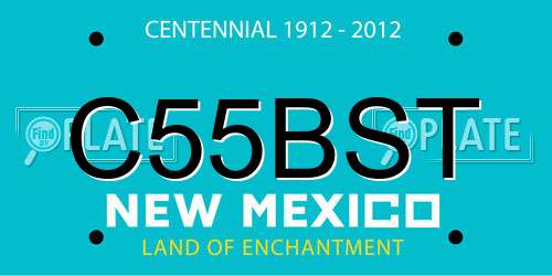 C55BST New Mexico License Plate
