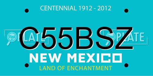 C55BSZ New Mexico License Plate