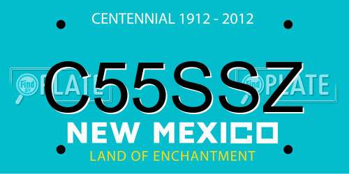 C55SSZ New Mexico License Plate