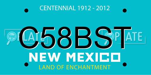 C58BST New Mexico License Plate