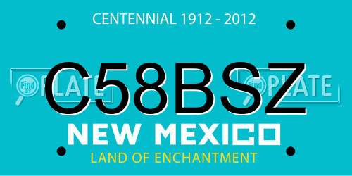 C58BSZ New Mexico License Plate
