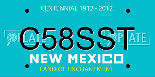 C58SST New Mexico License Plate