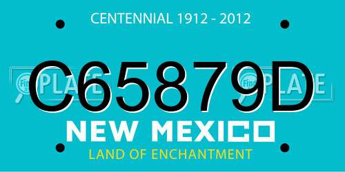 C65879D New Mexico License Plate