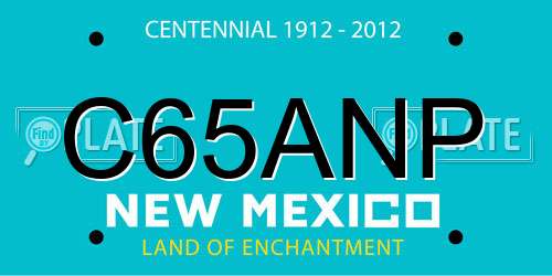 C65ANP New Mexico License Plate