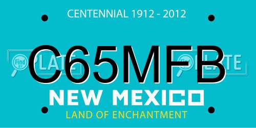 C65MFB New Mexico License Plate