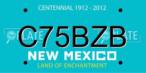 C75BZB New Mexico License Plate