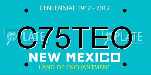 C75TEO New Mexico License Plate