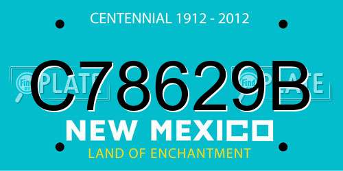 C78629B New Mexico License Plate