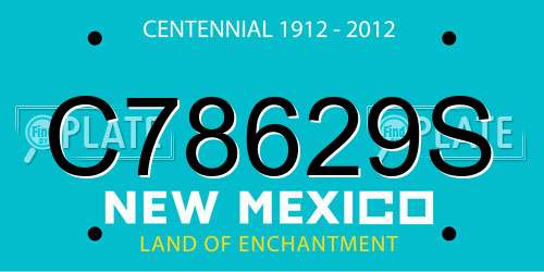 C78629S New Mexico License Plate