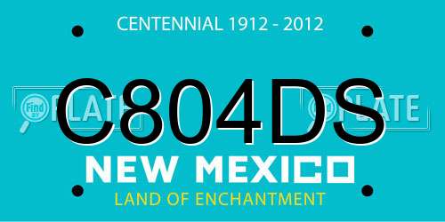C804DS New Mexico License Plate