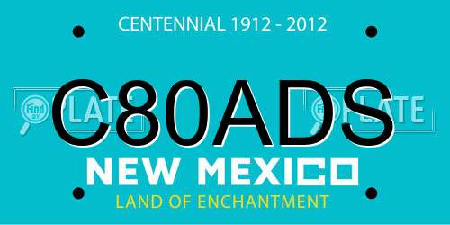 C80ADS New Mexico License Plate
