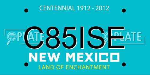 C85ISE New Mexico License Plate
