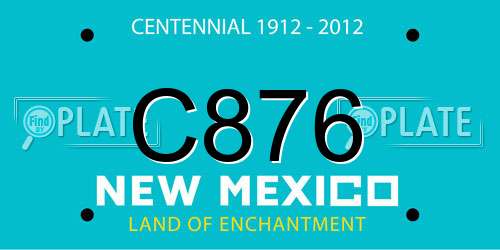 C876 New Mexico License Plate