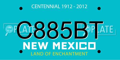 C885BT New Mexico License Plate