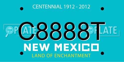 C8888T New Mexico License Plate