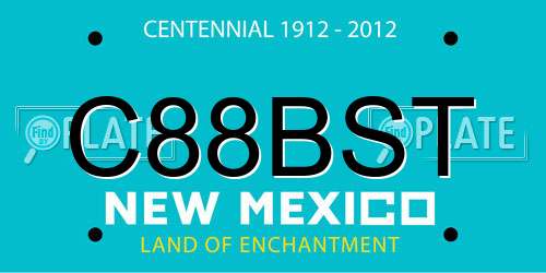 C88BST New Mexico License Plate