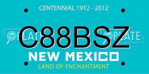 C88BSZ New Mexico License Plate