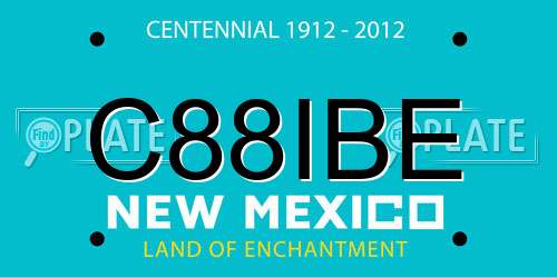 C88IBE New Mexico License Plate