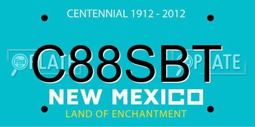 C88SBT New Mexico License Plate