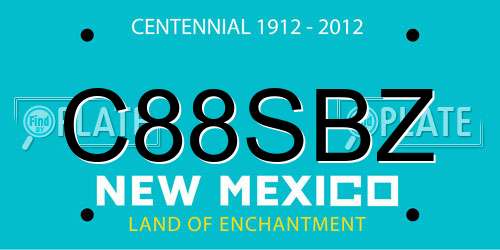 C88SBZ New Mexico License Plate