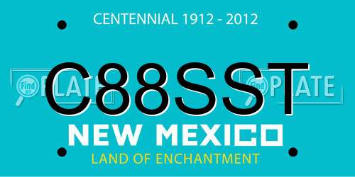 C88SST New Mexico License Plate