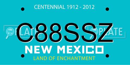 C88SSZ New Mexico License Plate