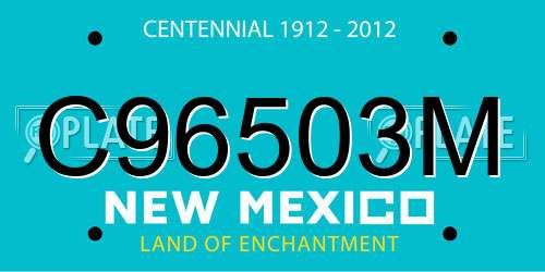 C96503M New Mexico License Plate