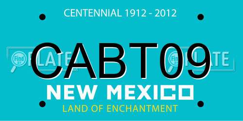 CABT09 New Mexico License Plate