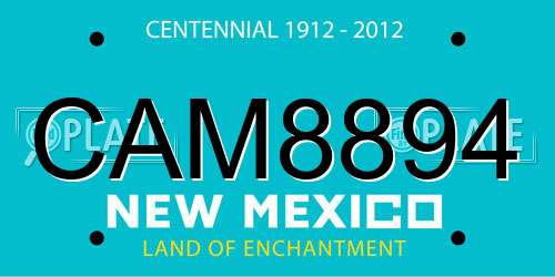 CAM8894 New Mexico License Plate