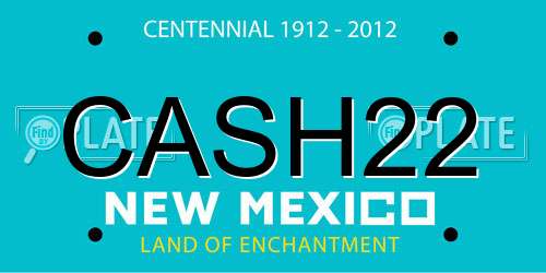 CASH22 New Mexico License Plate
