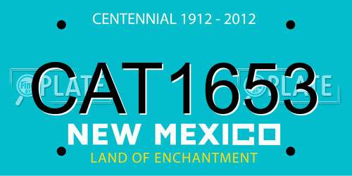 CAT1653 New Mexico License Plate