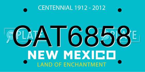 CAT6858 New Mexico License Plate
