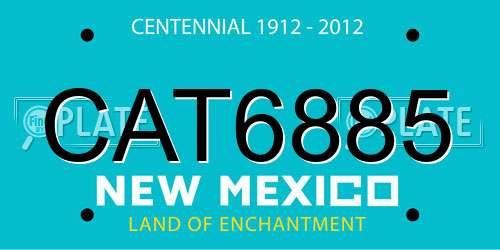 CAT6885 New Mexico License Plate