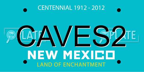 CAVES2 New Mexico License Plate