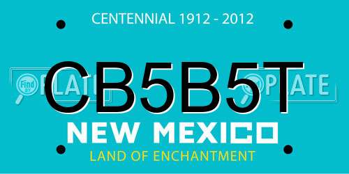 CB5B5T New Mexico License Plate